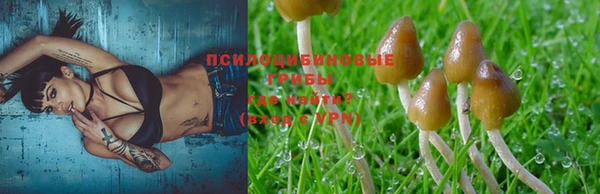 а пвп мука Лабытнанги
